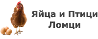 Яйца и птици Ломци - Яйца и птици Ломци - Мейбъл, Кармен - Търговище